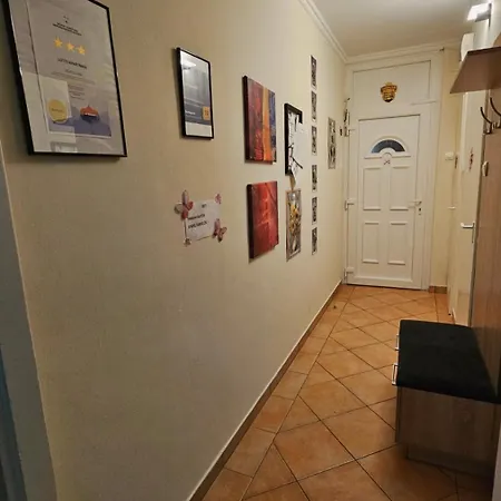 Lotti بيكيسكسابا